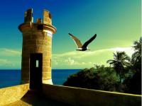 An Image Slideshow