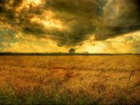 An Image Slideshow